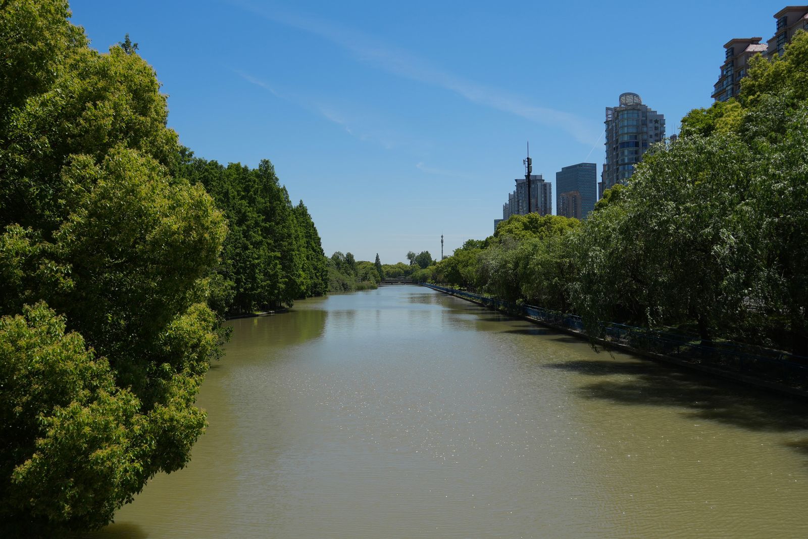 A tree-lined canal below Shanghai high-rise buildings