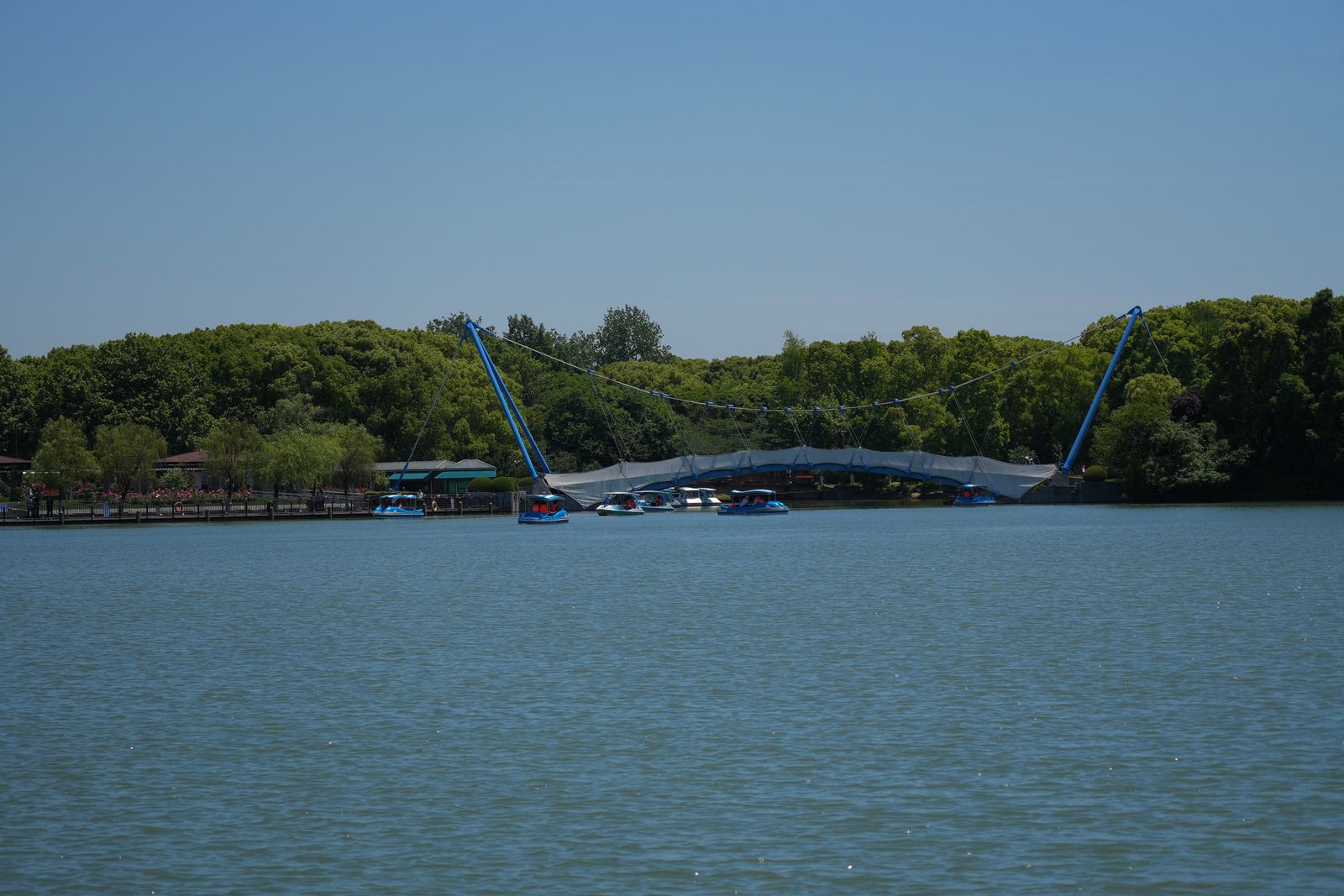 A lake with small boats beside a cable-supported bridge, Shanghai