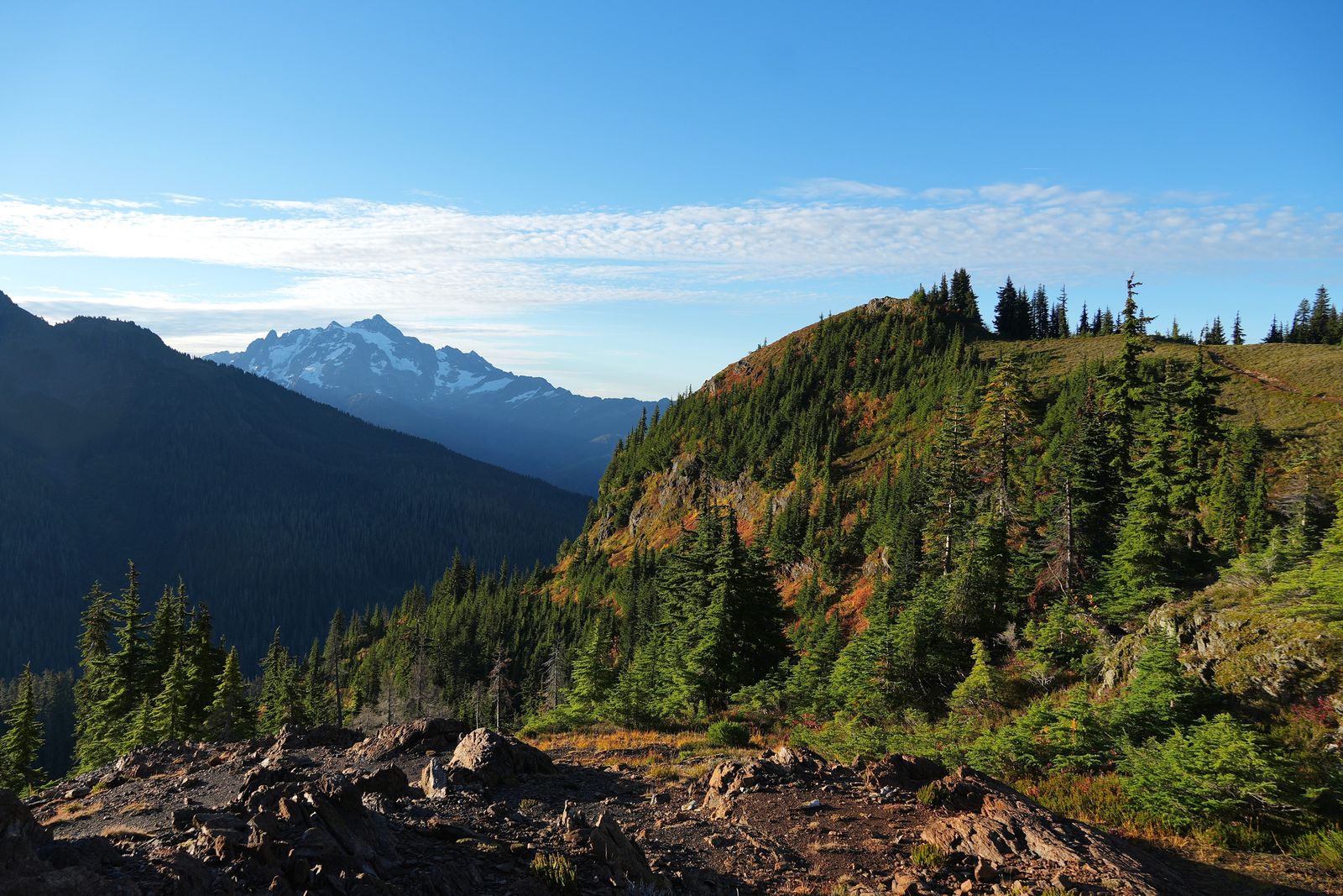 Tree-covered ridge above a forested valley below a snowy peak, Yellow Aster Butte