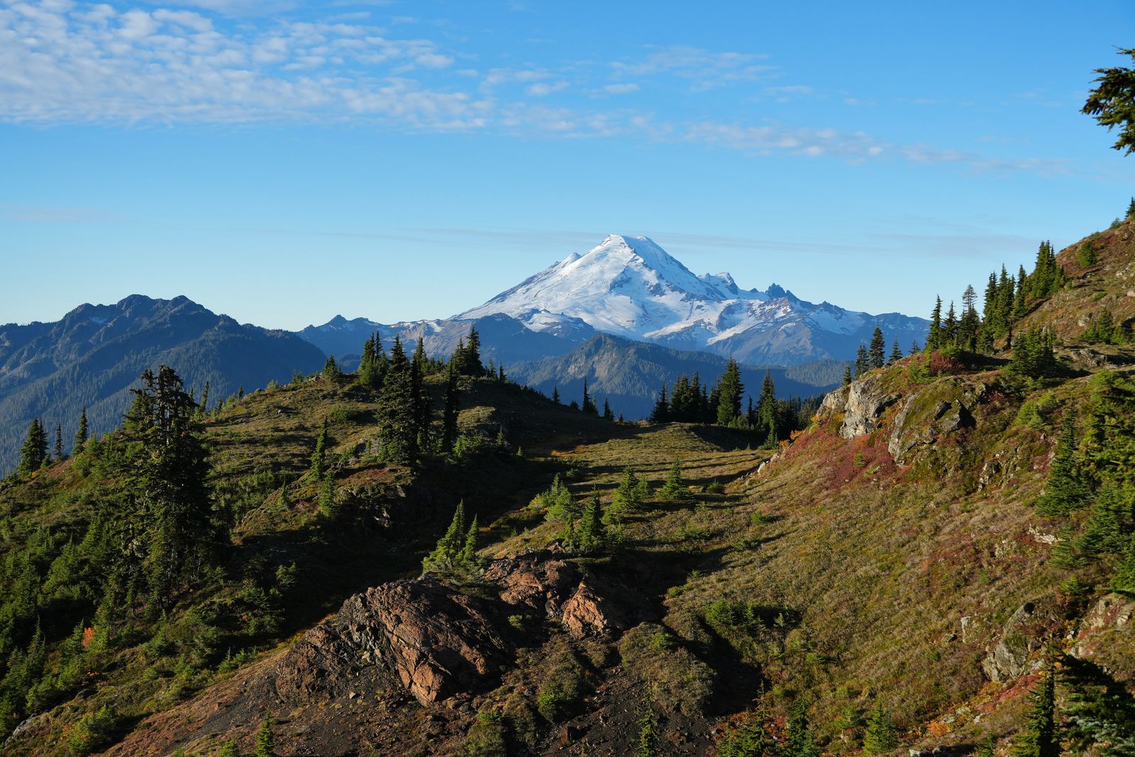Mount Baker beyond rocky slopes dotted with evergreen trees, Yellow Aster Butte