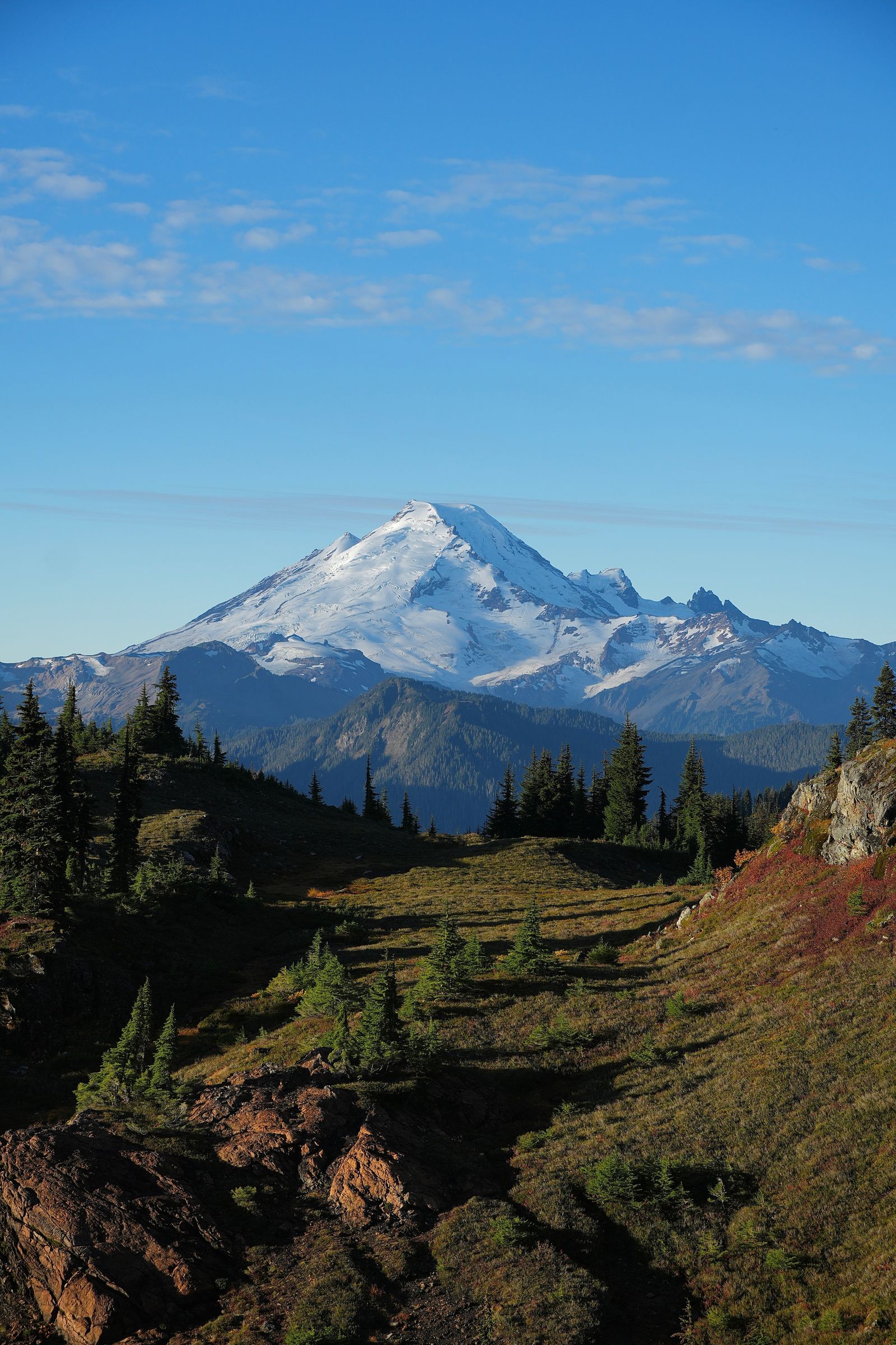 Mount Baker above rocky meadows and wooded ridges, Yellow Aster Butte