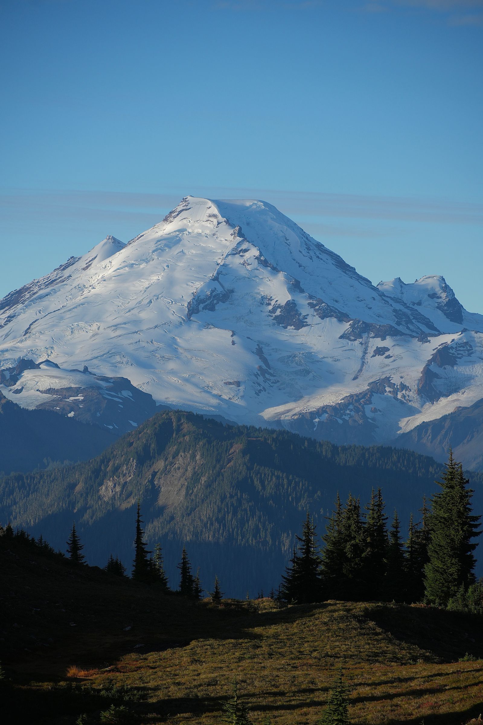 Mount Baker beyond a grassy meadow with long shadows, Yellow Aster Butte