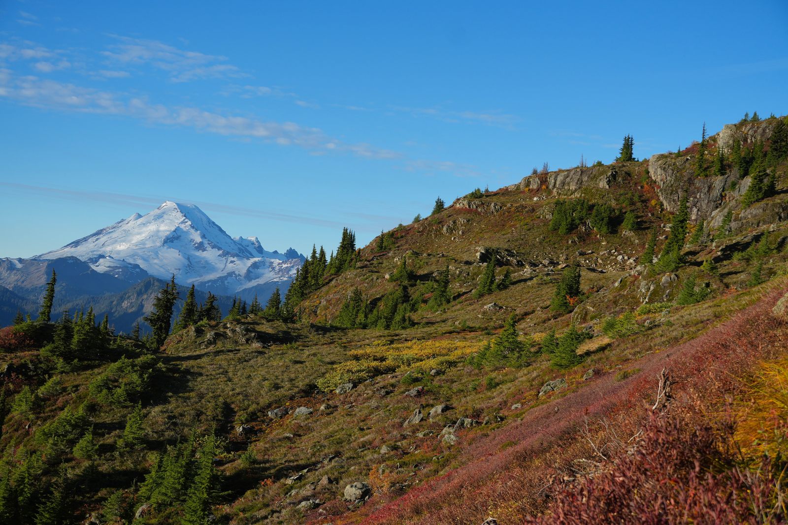Mount Baker above red and yellow shrubs, Yellow Aster Butte