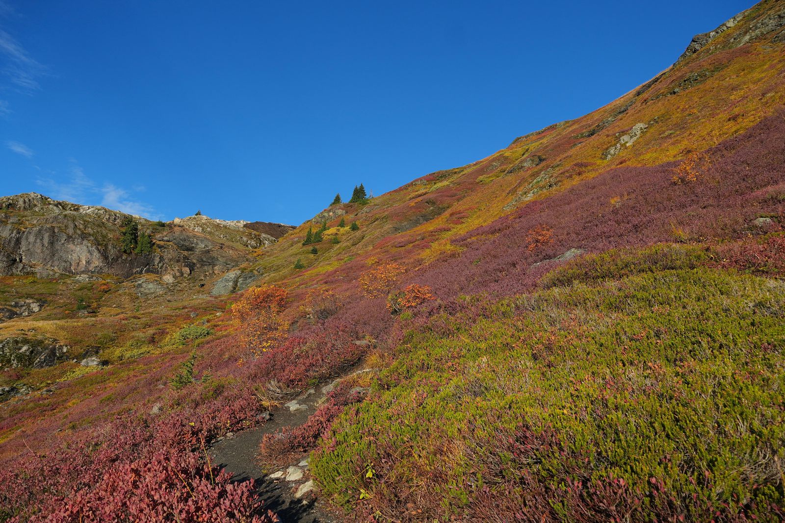 A narrow trail through fall-colored shrubs below rock outcrops, Yellow Aster Butte