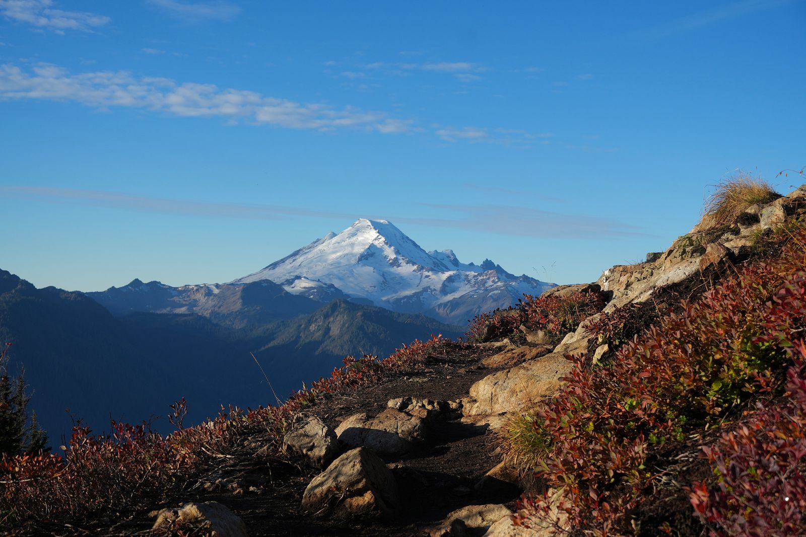 Mount Baker beyond a rocky trail bordered by red shrubs, Yellow Aster Butte