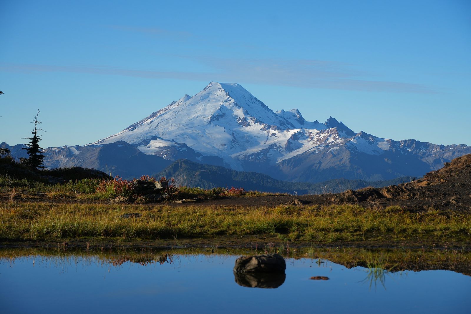 Mount Baker beyond a tarn with a grassy bank, Yellow Aster Butte