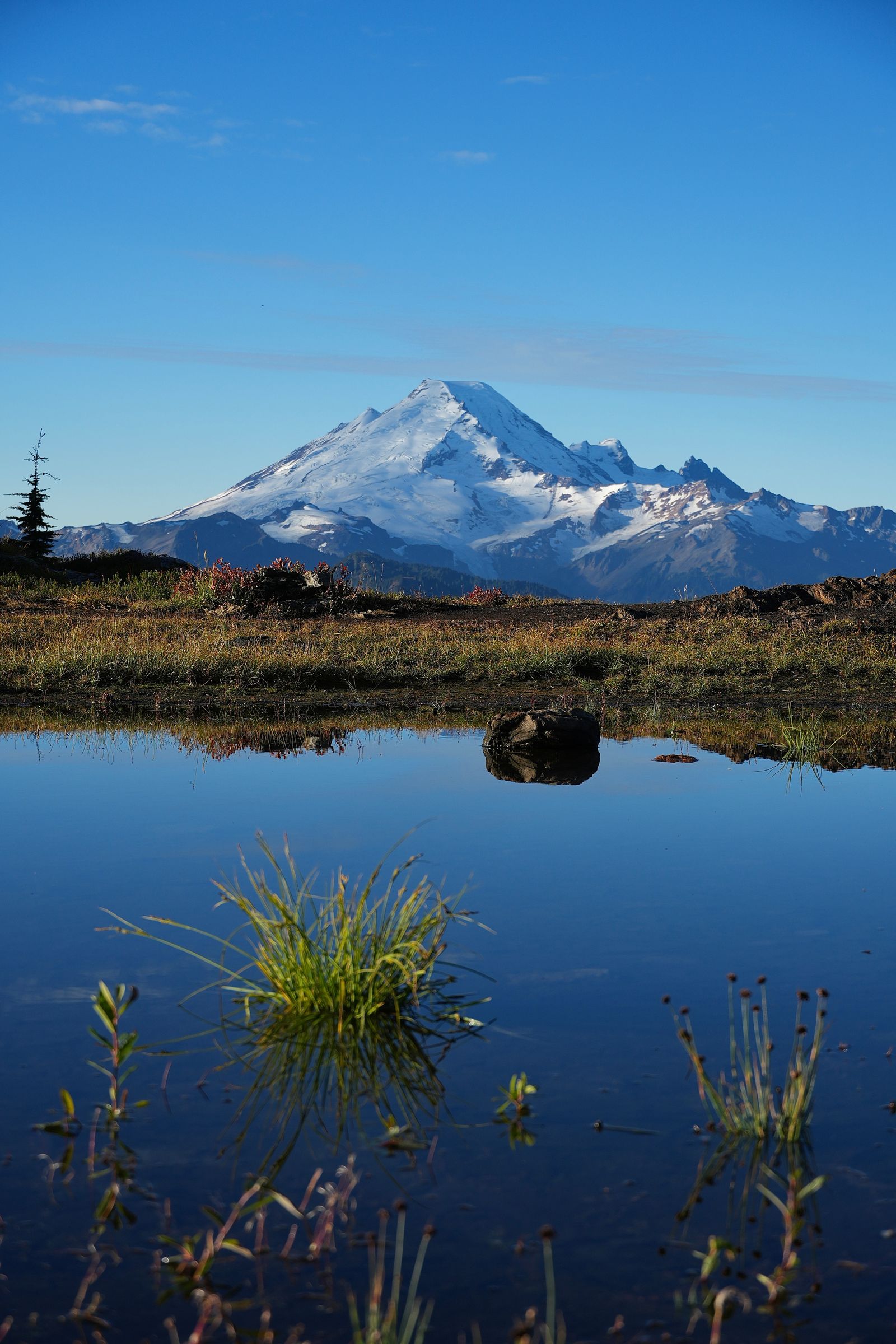 Mount Baker beyond a tarn reflecting grass and rock, Yellow Aster Butte
