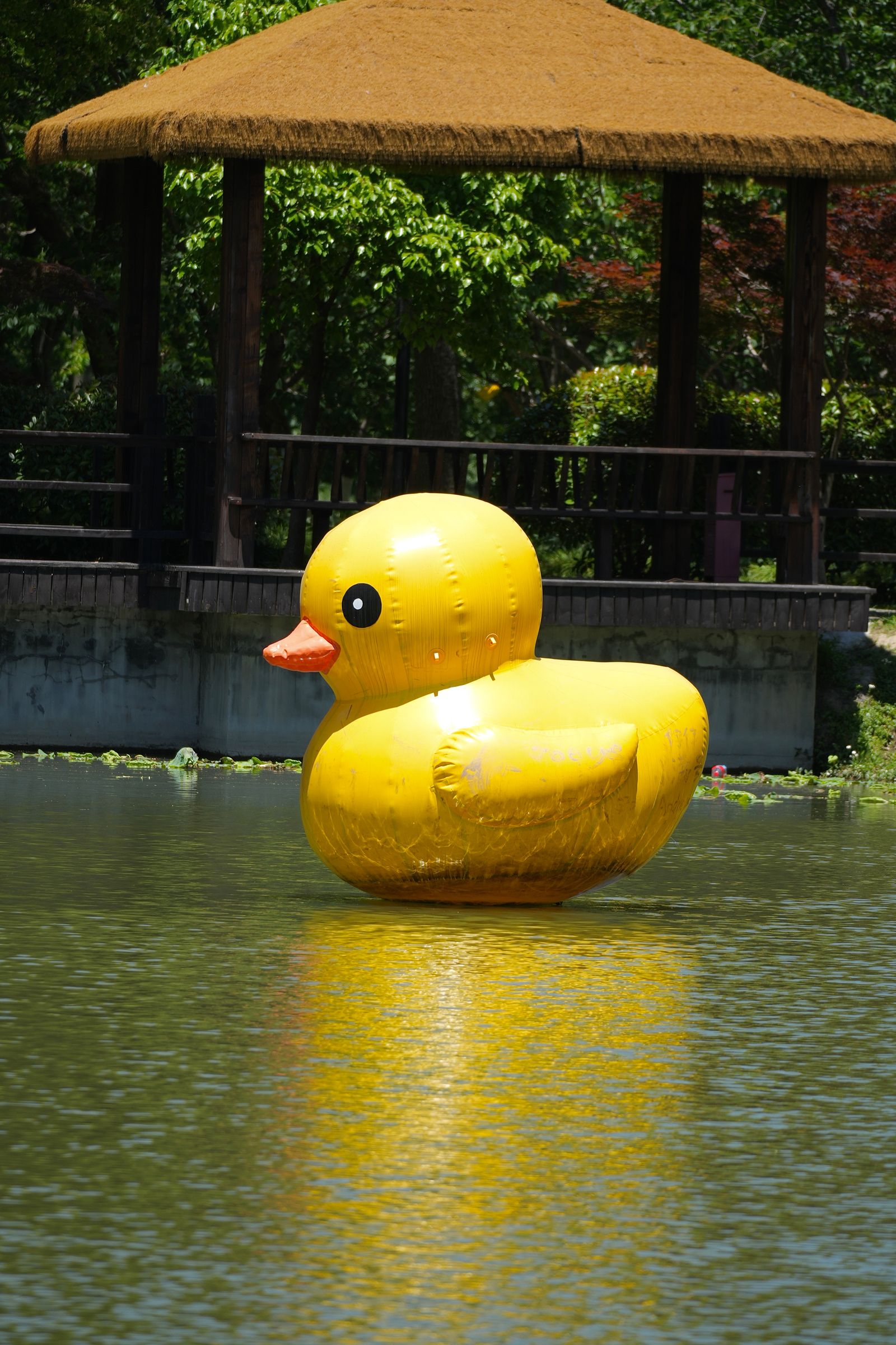 Yellow inflatable duck floating beside a thatched pavilion, Shanghai