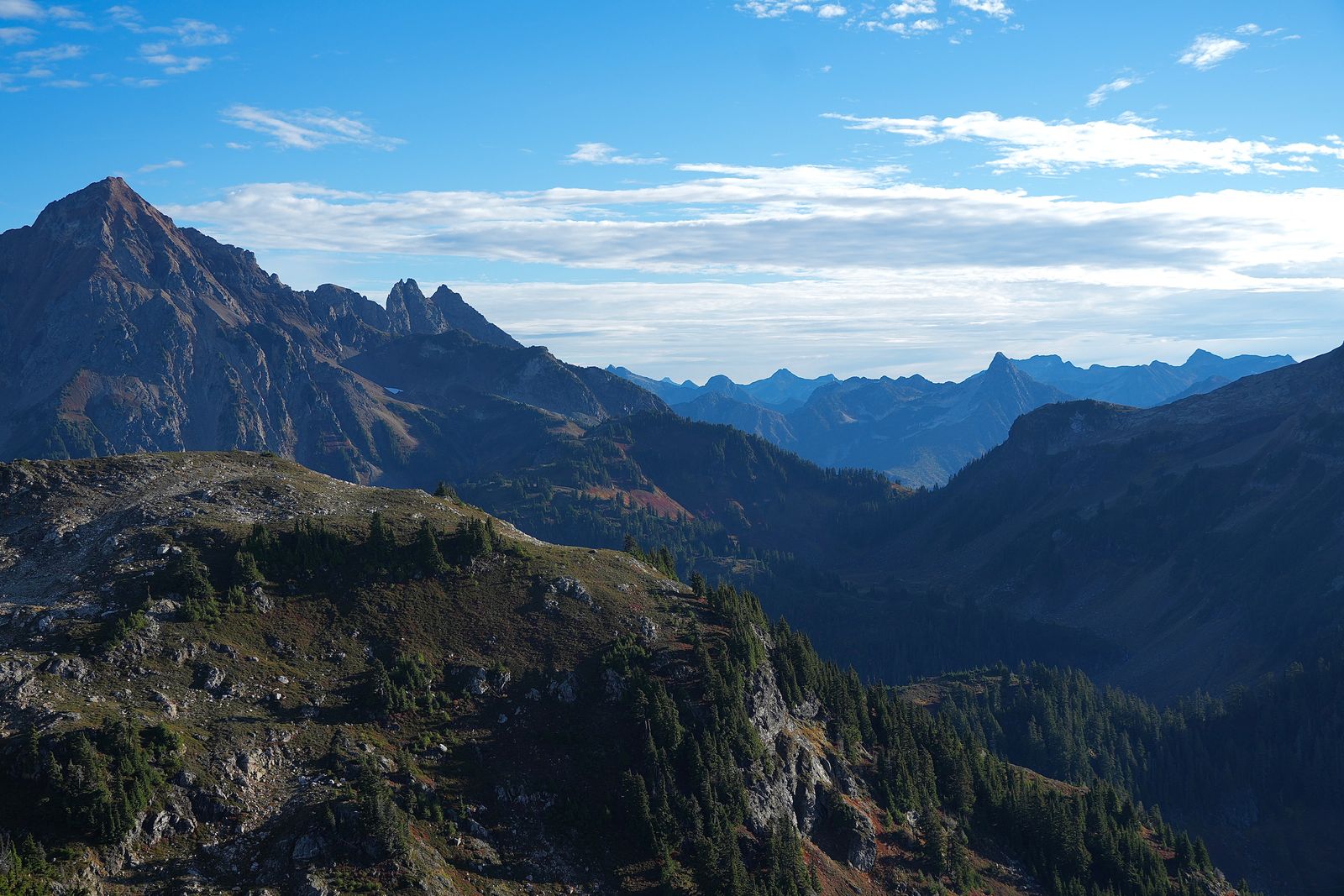 Rocky mountain peaks above a forested valley, Yellow Aster Butte