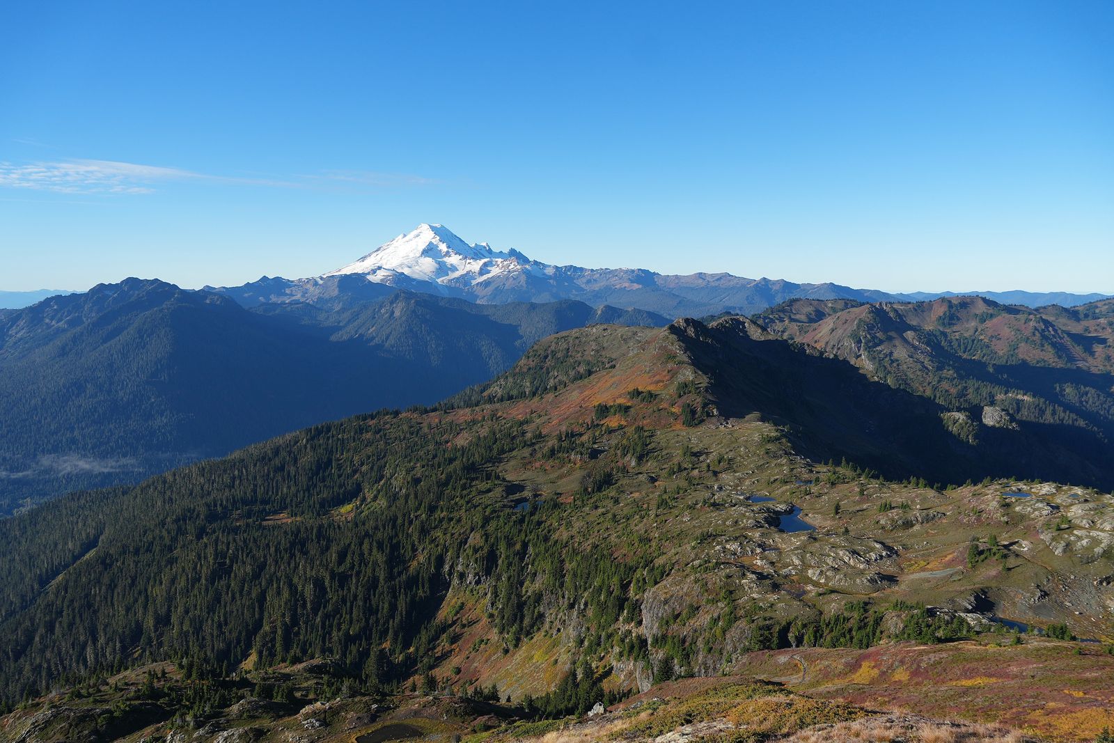 Mount Baker above small tarns and fall colors, Yellow Aster Butte
