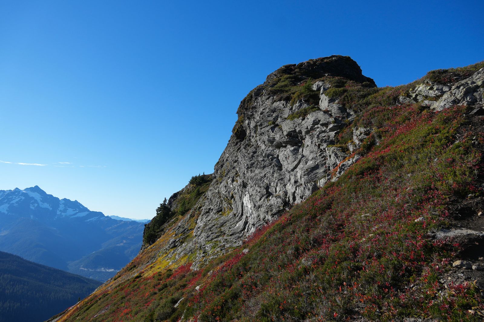 Rocky outcrop above red groundcover beside snow-patched peaks, Yellow Aster Butte
