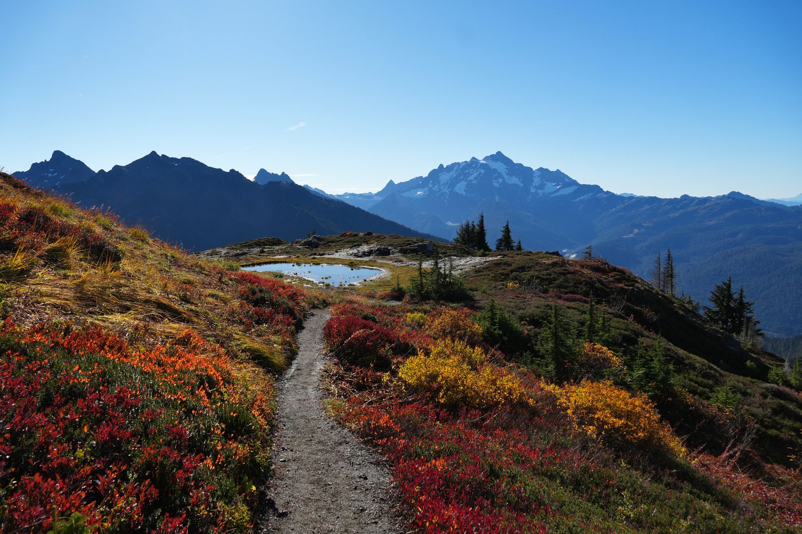 Mountain ridges beyond a tarn and fall-colored trailside shrubs, Yellow Aster Butte