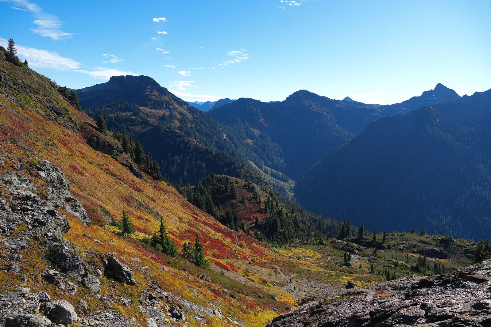 Mountain ridges above slopes covered in fall colors, Yellow Aster Butte