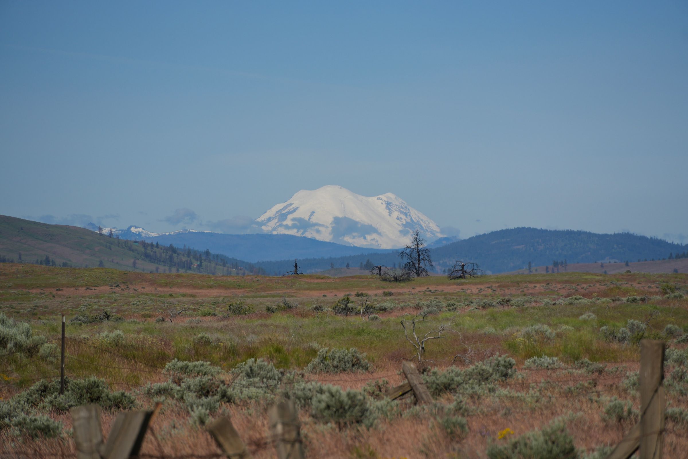 Shrub-steppe, Eastern Washington — cover photograph