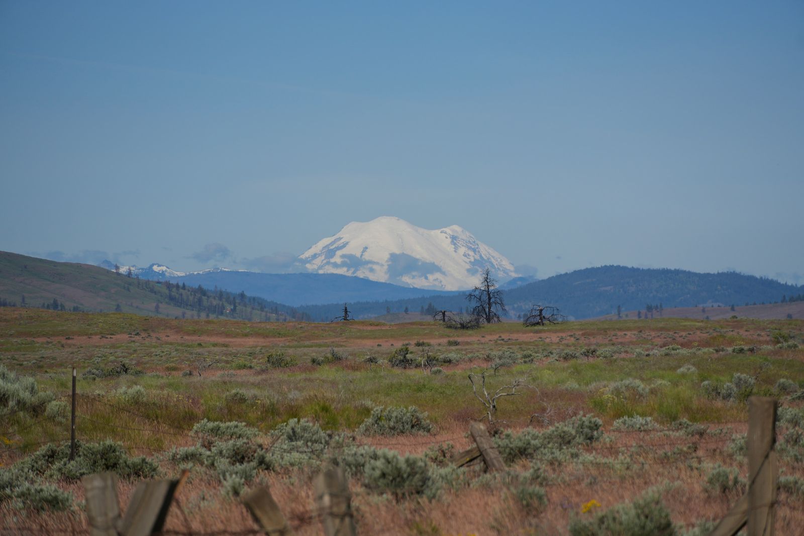Snow-covered mountain beyond wooded ridges and a grassy plain, shrub-steppe