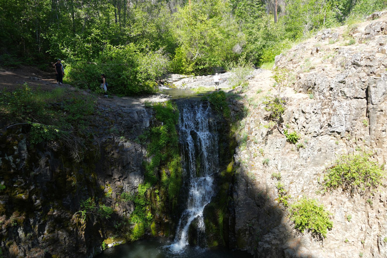 Waterfall flowing down mossy rock into a pool below a trail, shrub-steppe