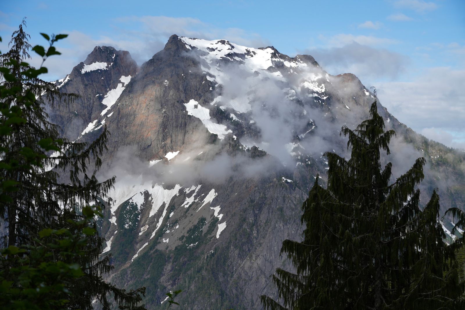 Snow-covered mountain beyond trees in low clouds, Ball Mountain