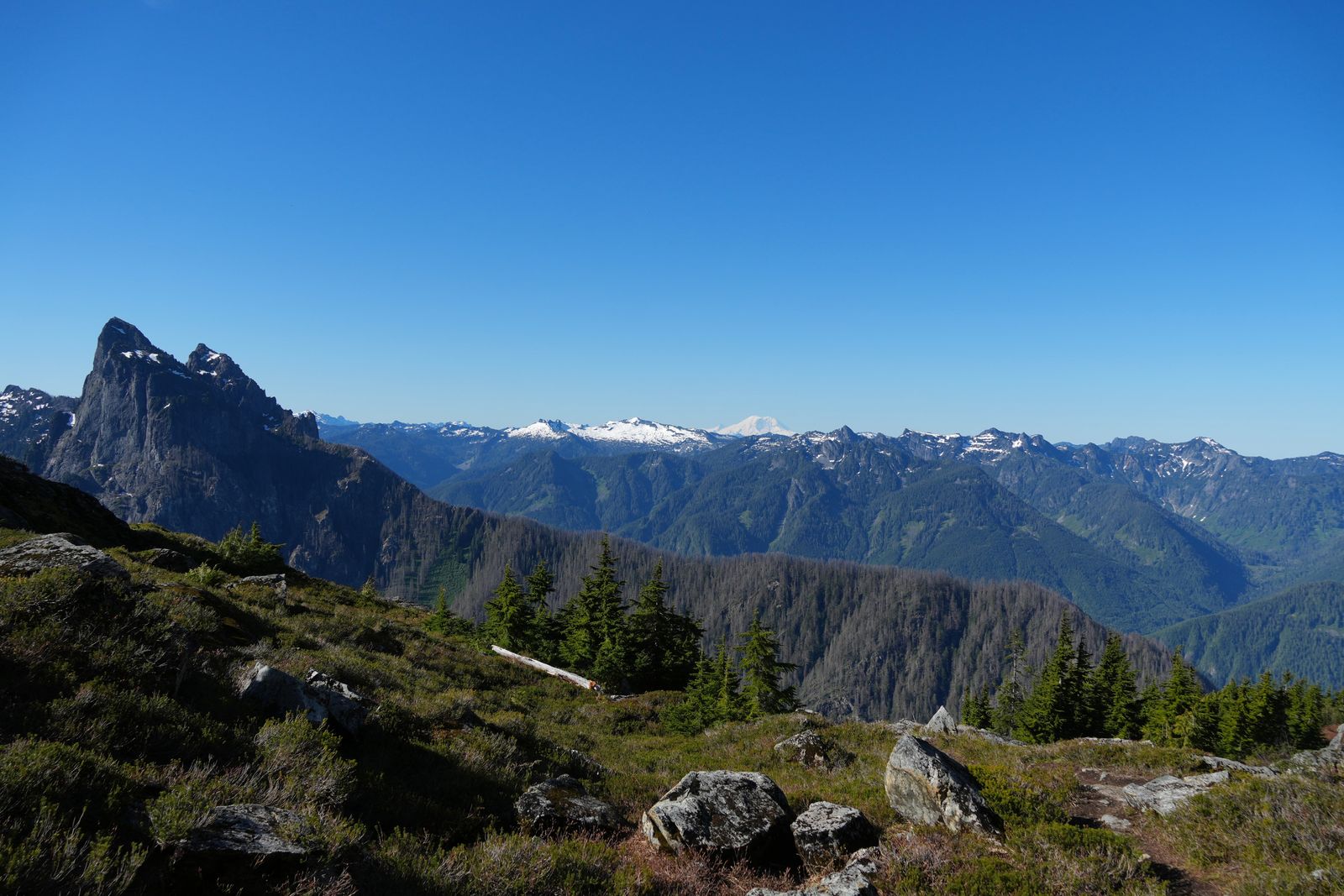 Rocky mountain peaks above rocks, shrubs and evergreen trees, Gunn Peak