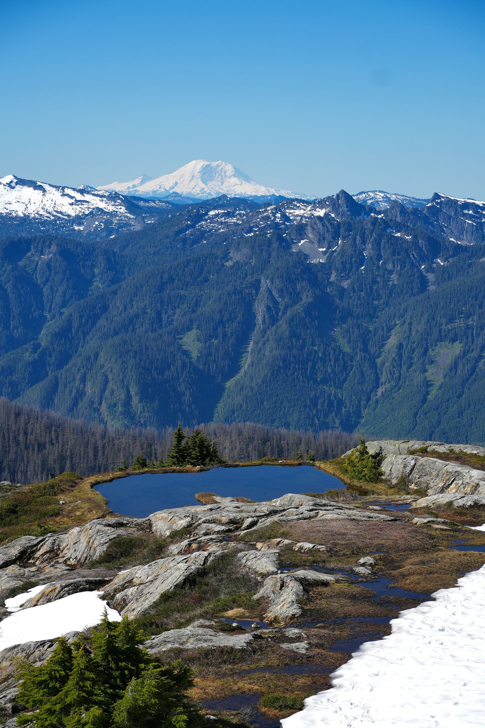 A snow-covered peak beyond forested ridges and a tarn, Gunn Peak
