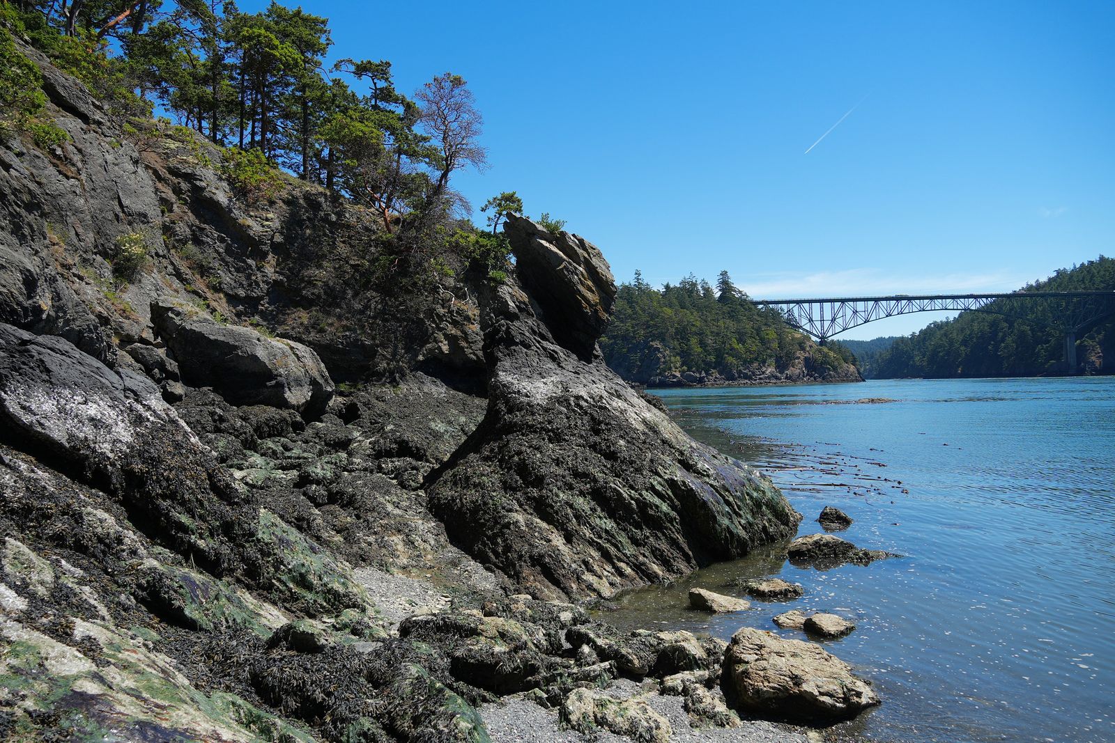 Rocky shoreline below the Deception Pass bridge