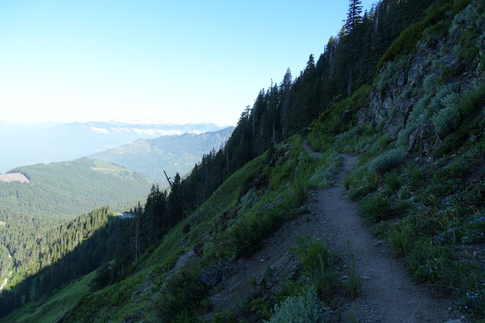 Mountain trail winding across a steep slope above forested valleys, Sauk Mountain