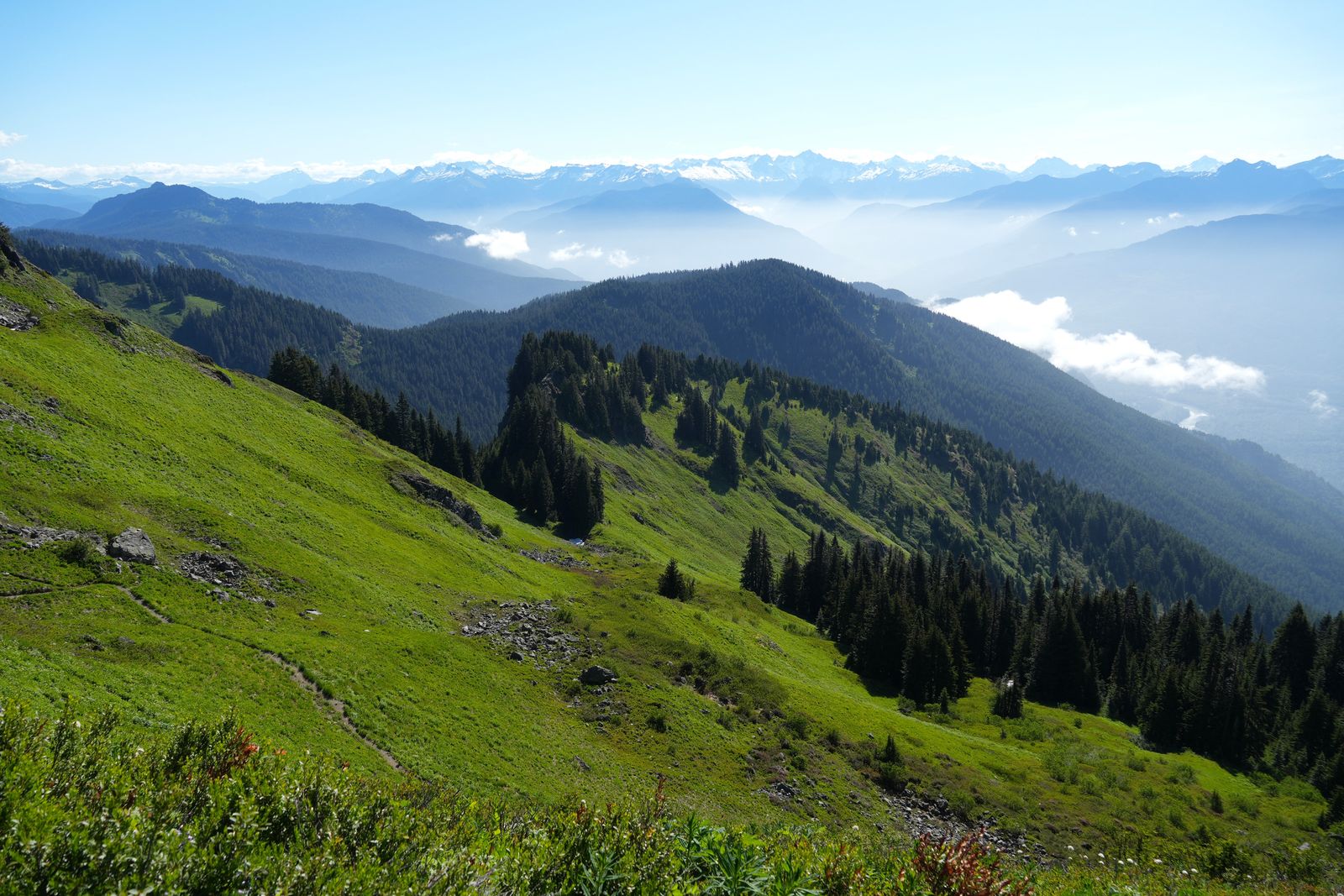 Mountain trail across green slopes below hazy North Cascades peaks, Sauk Mountain