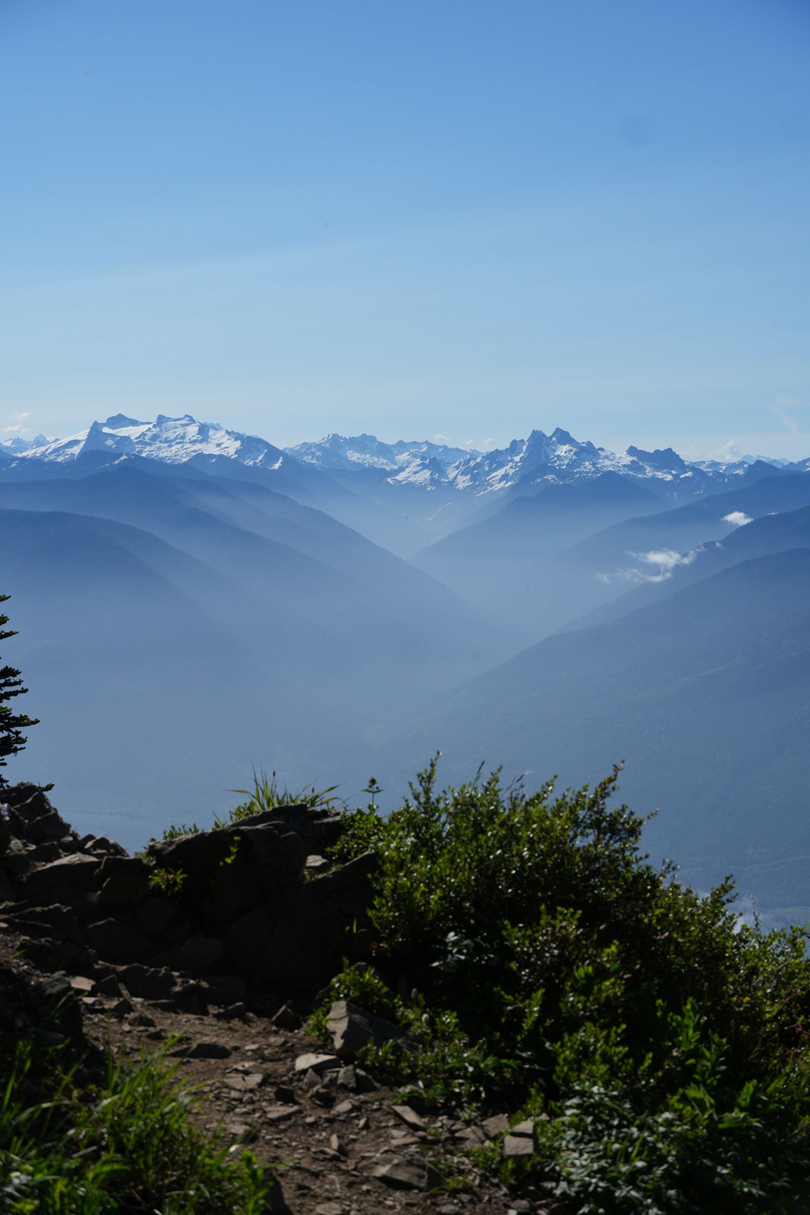 Hazy snow-covered peaks beyond rocks and green shrubs, Sauk Mountain