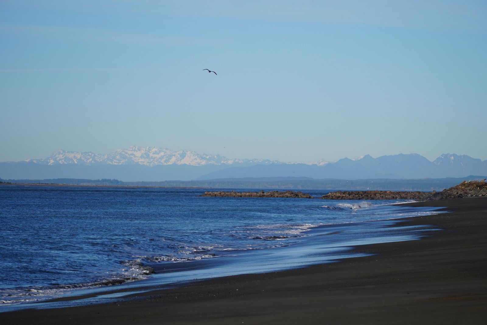 A sandy shoreline beside blue water with snow-covered mountains beyond, Westport