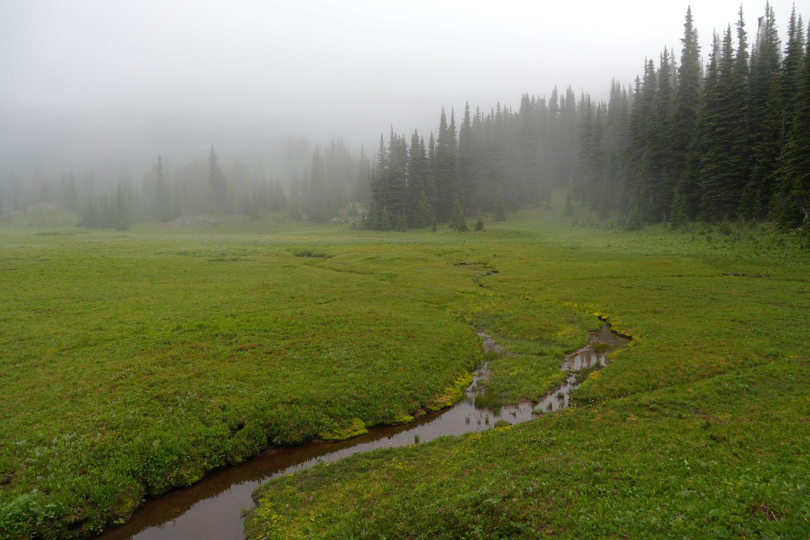 A stream winding through a meadow in fog, Sunrise