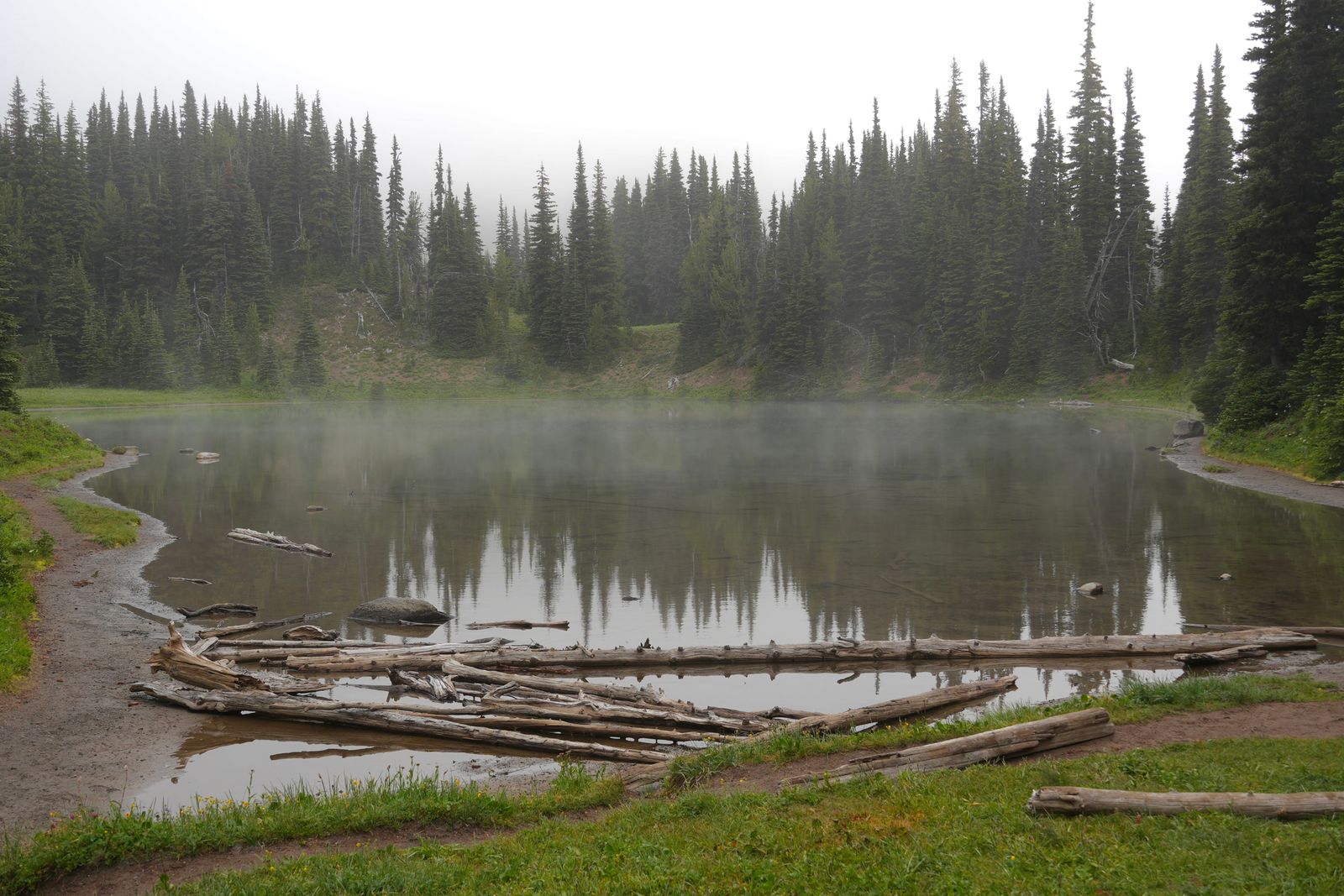 A lake reflecting trees in mist beside fallen logs, Sunrise