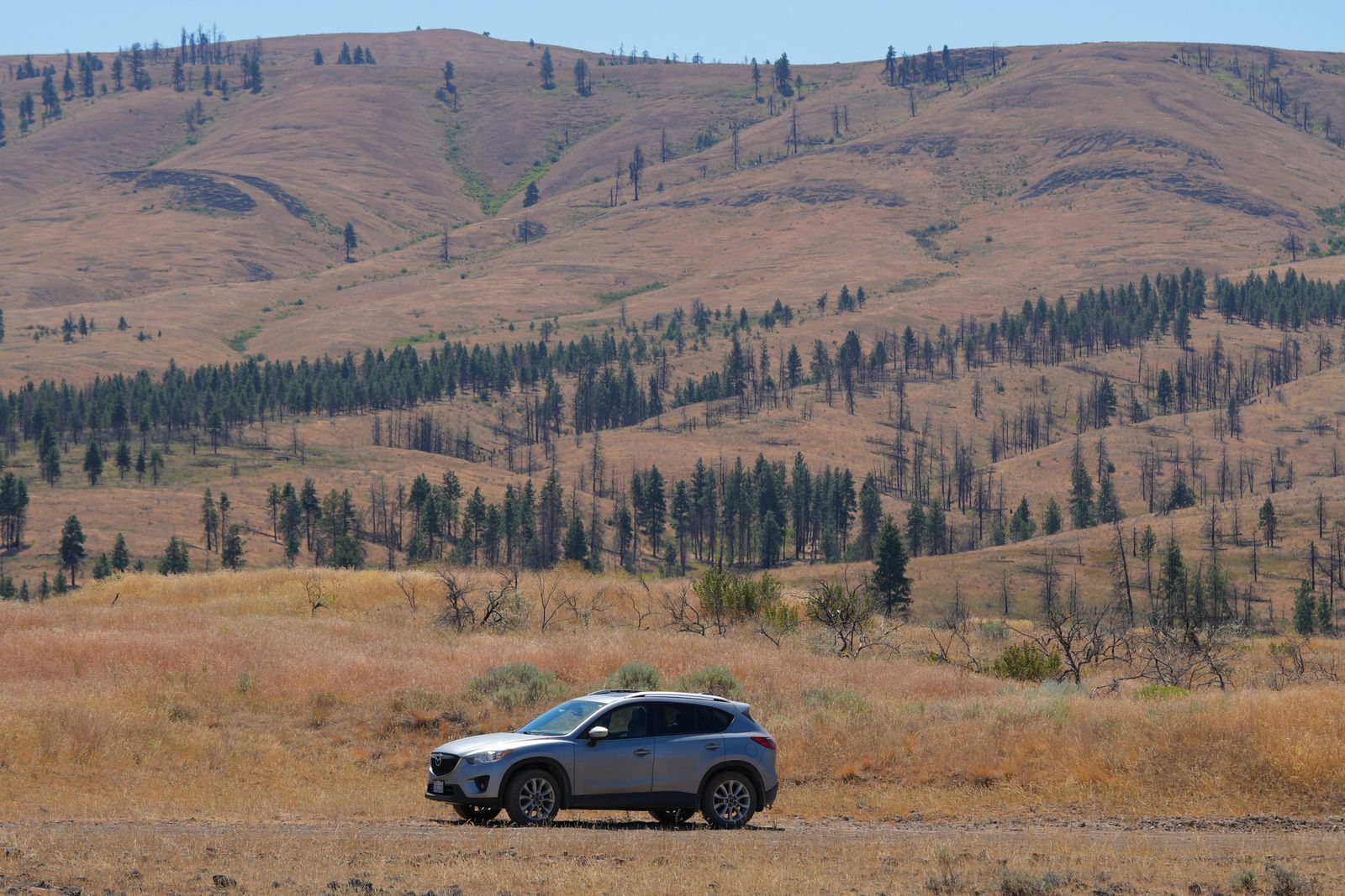 A silver SUV parked below grassy hills with scattered trees, Eastern Washington