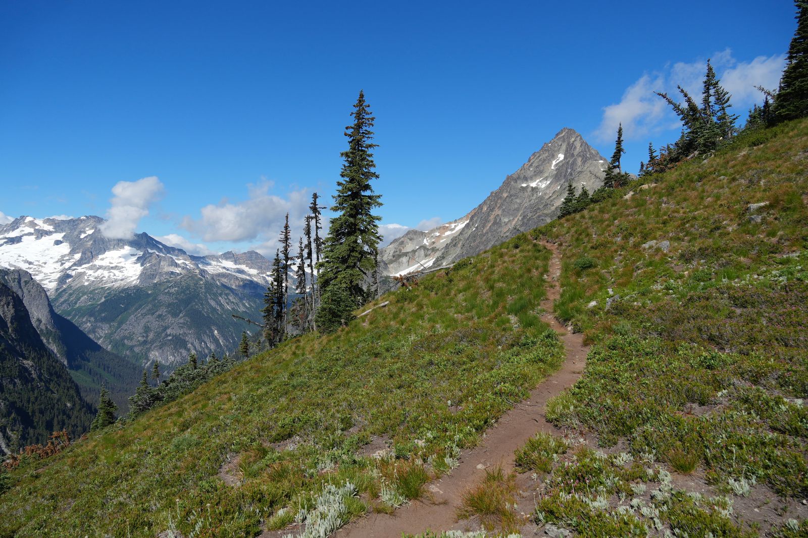 North Cascades peaks beyond a grassy slope and winding trail, Washington Pass