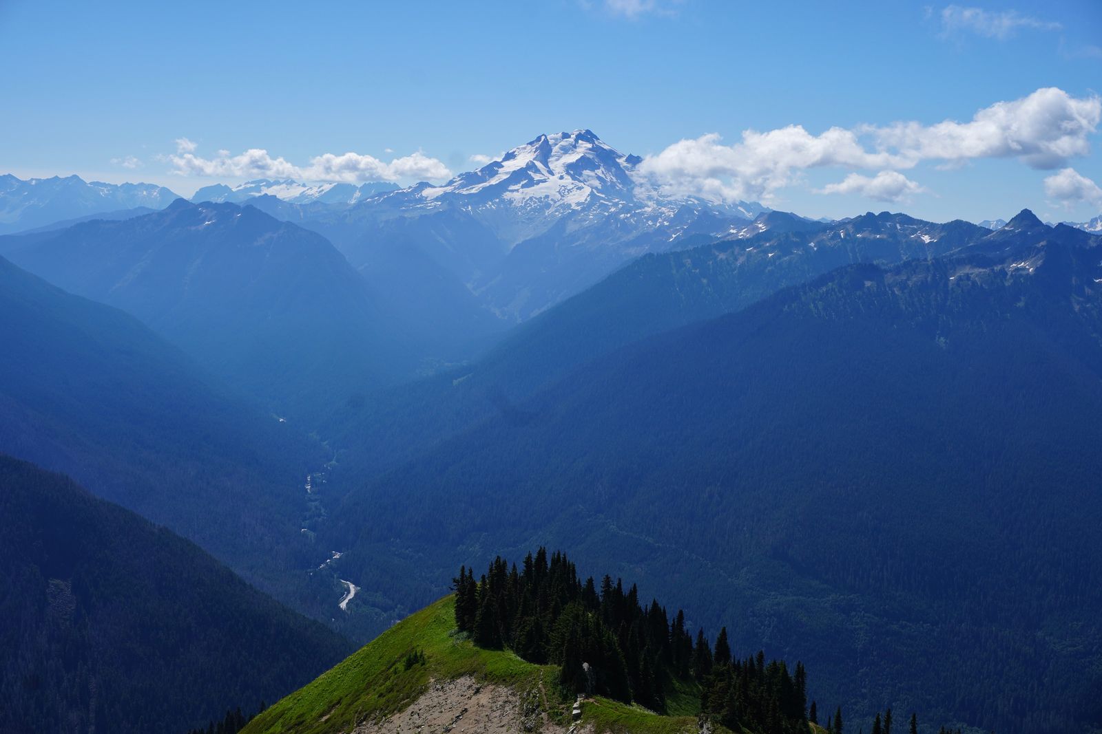 A snow-covered peak above a forested valley and grassy ridge, North Cascades