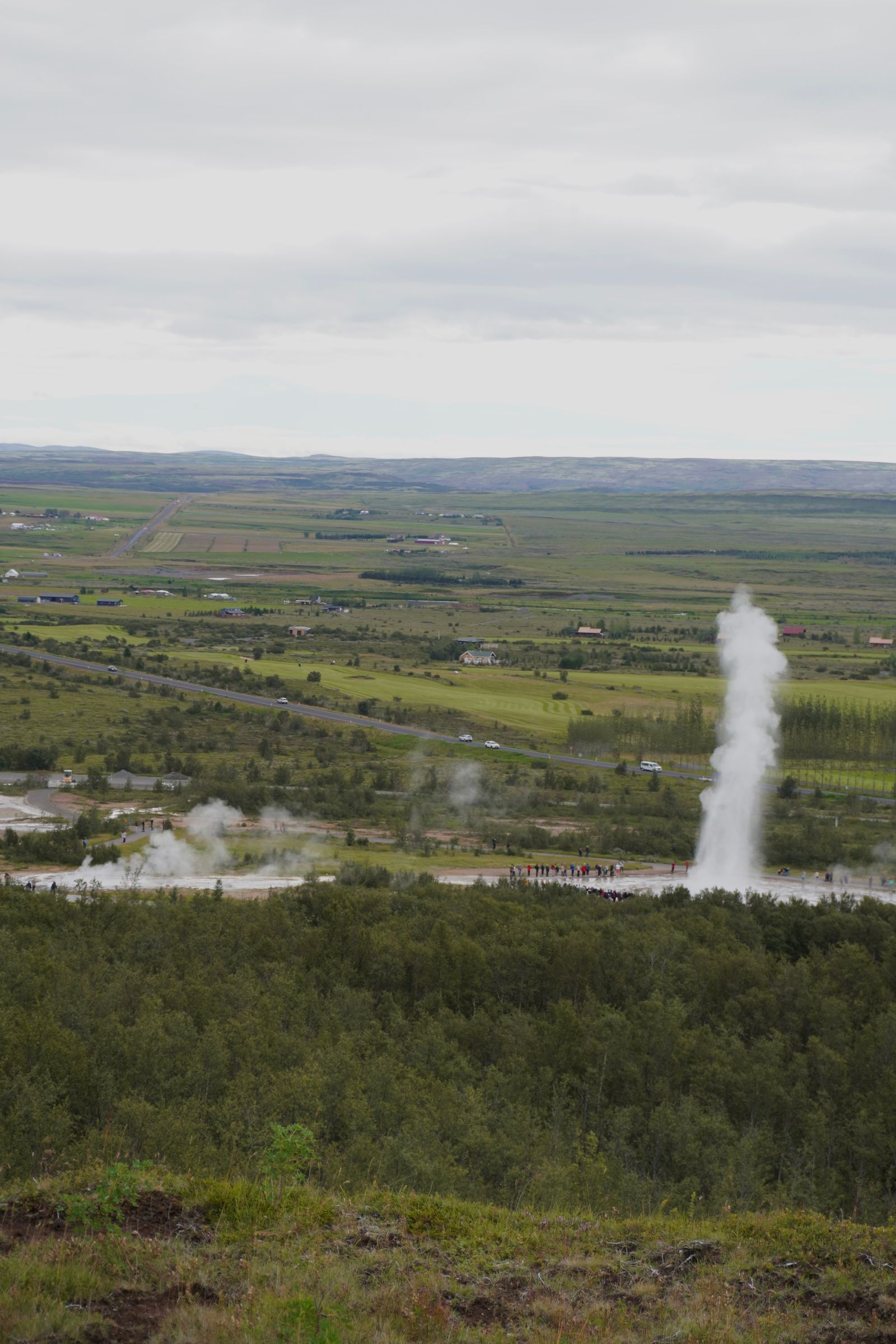 Geyser erupting beyond trees under gray clouds, Bláskógabyggð