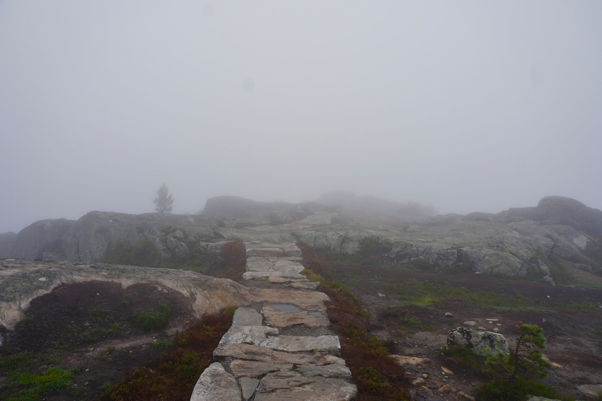 Stone path across rocky ground in fog, Åndalsnes