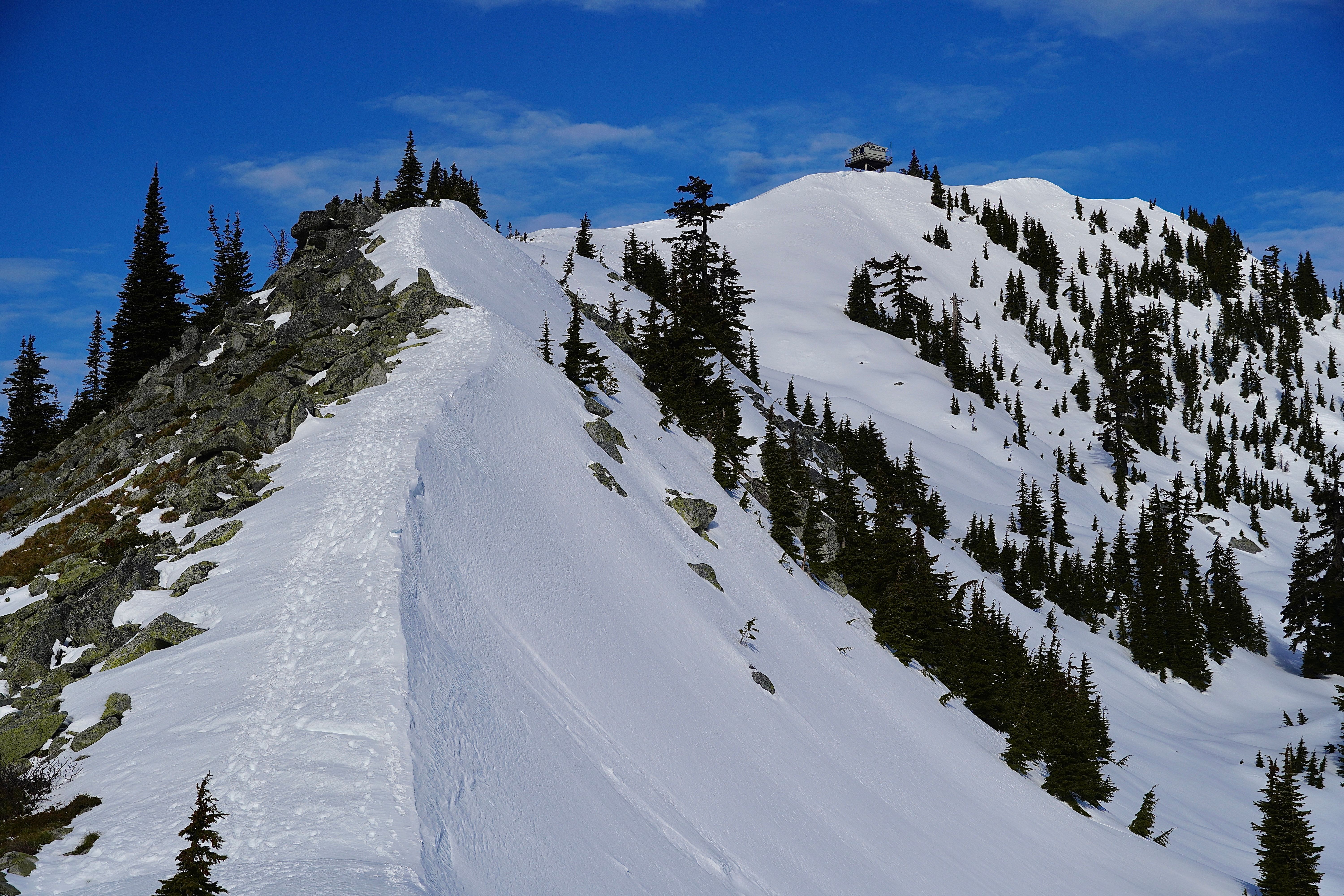 Late Winter Washington Hikes And Birds 2026