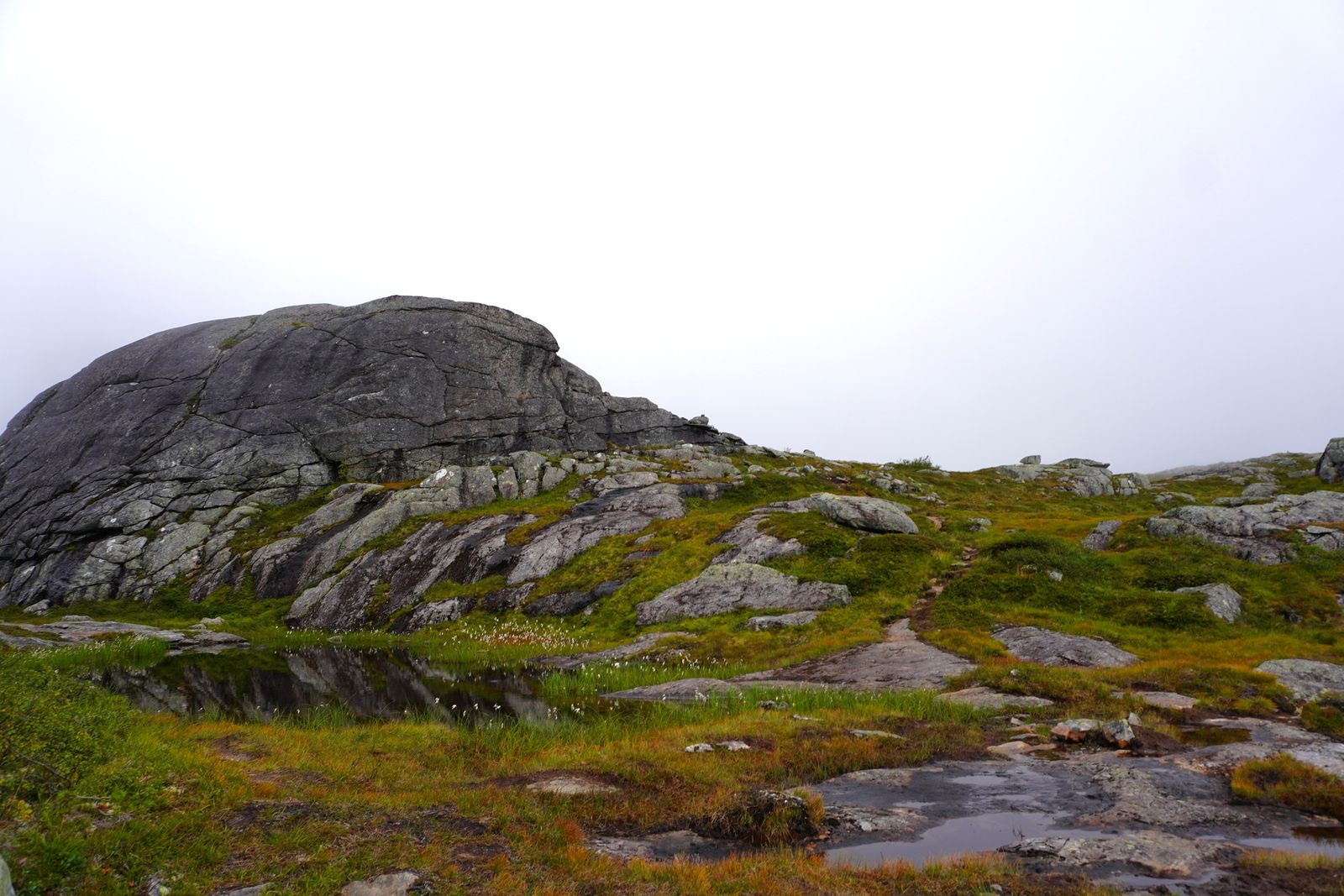Rocky outcrop reflected in a tarn beside grassy slopes, Åndalsnes