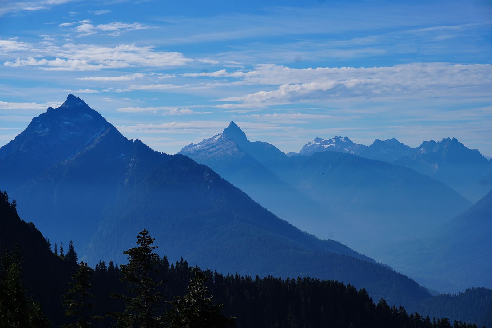 Jagged peaks above forested ridges in the Cascades
