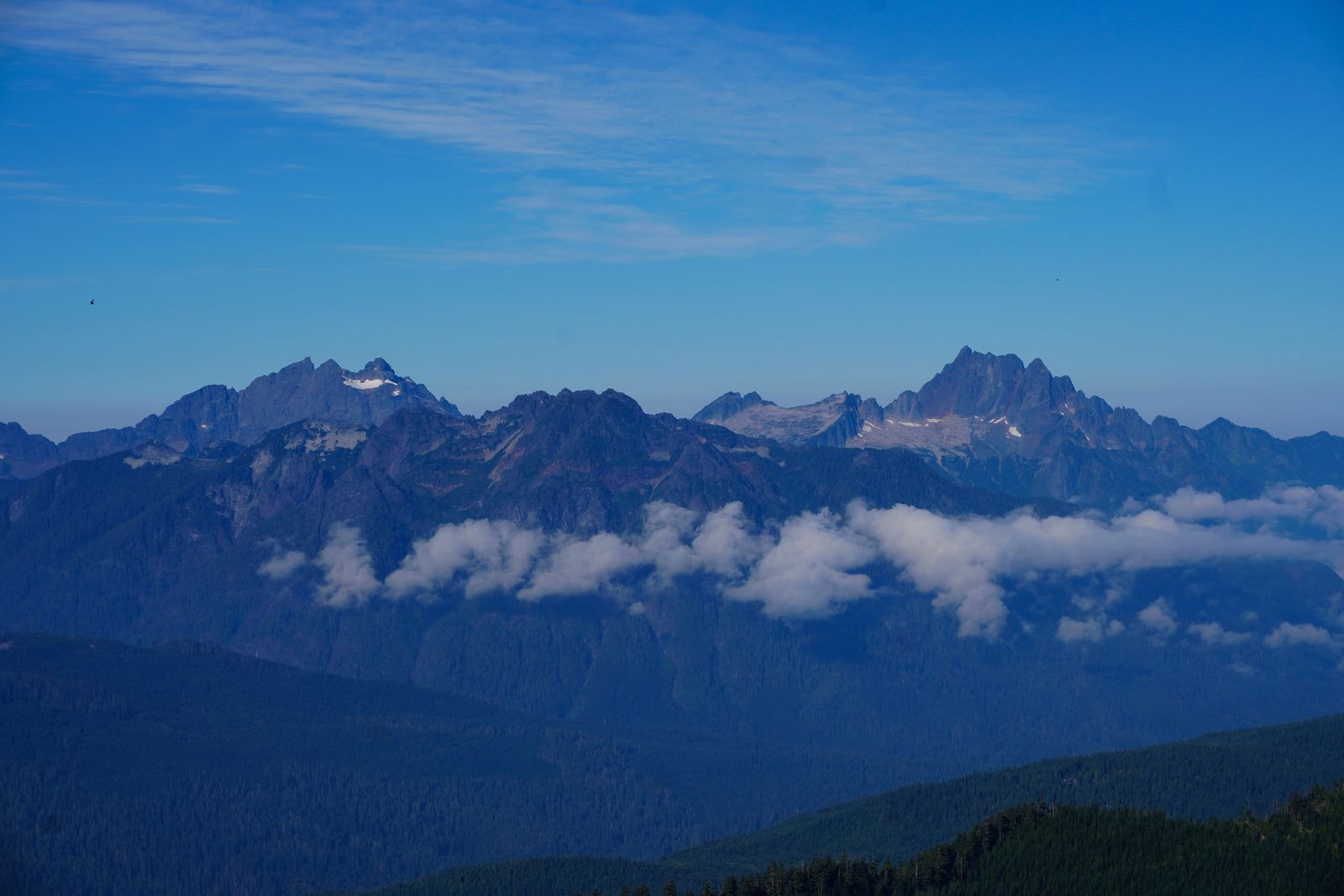 A jagged mountain ridge above forested slopes in low clouds, Cascades