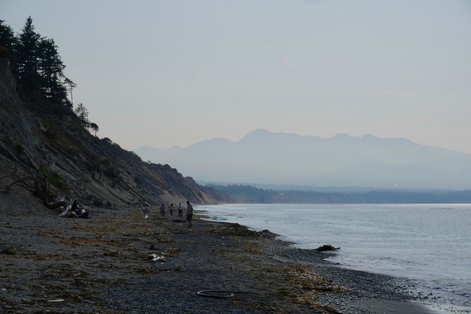 Pebble beach below a wooded bluff with hazy mountains, Fort Worden