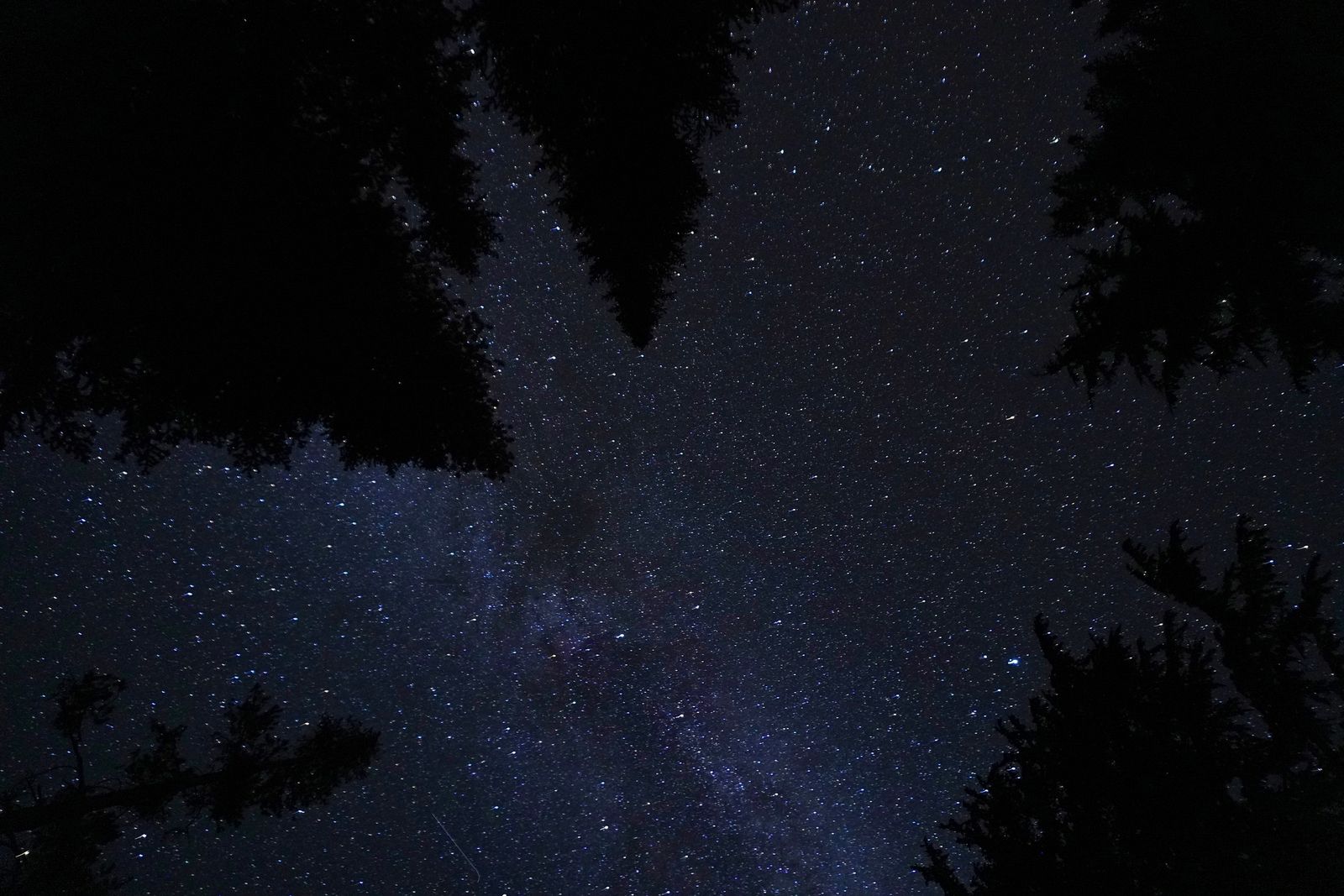 Star-filled sky above dark trees at night, Crater Lake