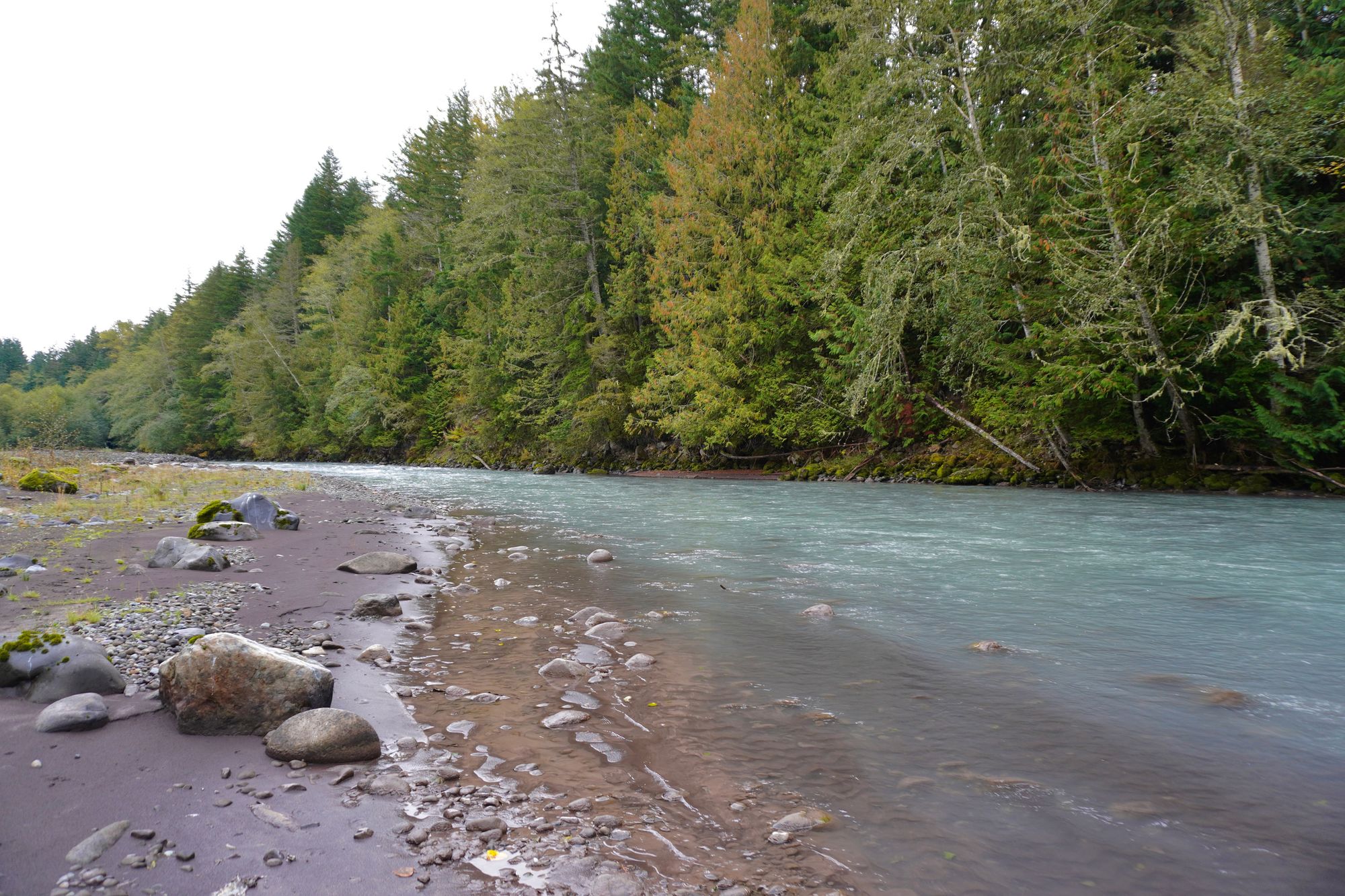 River flowing beside a rocky bank and dense forest, Enumclaw