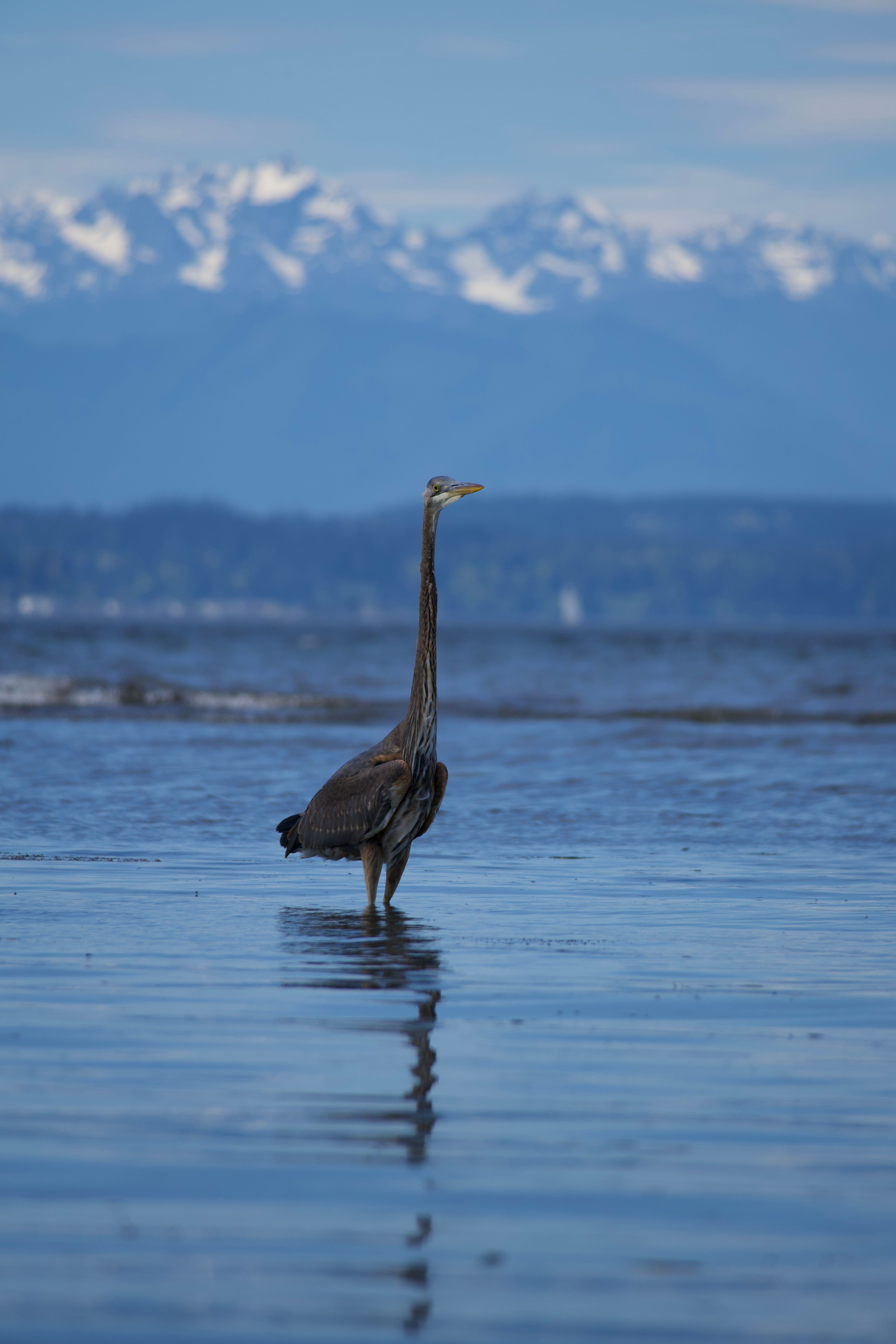 Various April Wildlife 2026