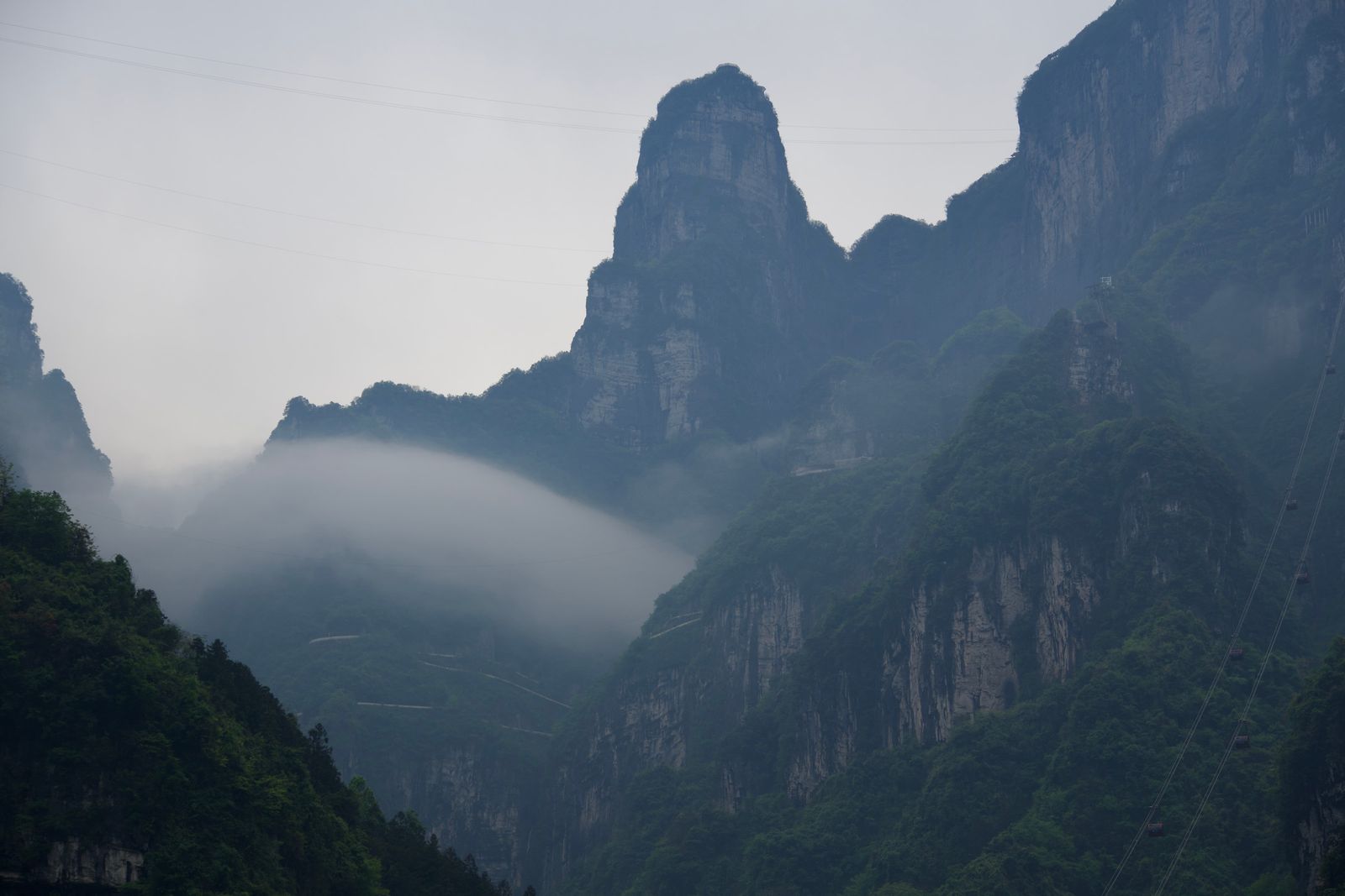 Rocky peaks above forest and cable cars in fog, Zhangjiajie