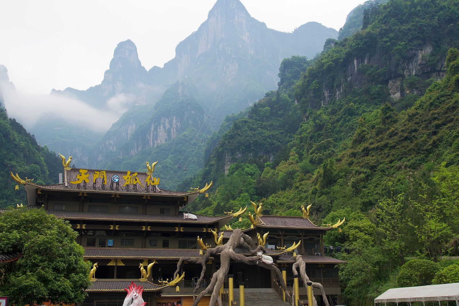 Forested cliffs above buildings with gold roof ornaments in mist, Zhangjiajie