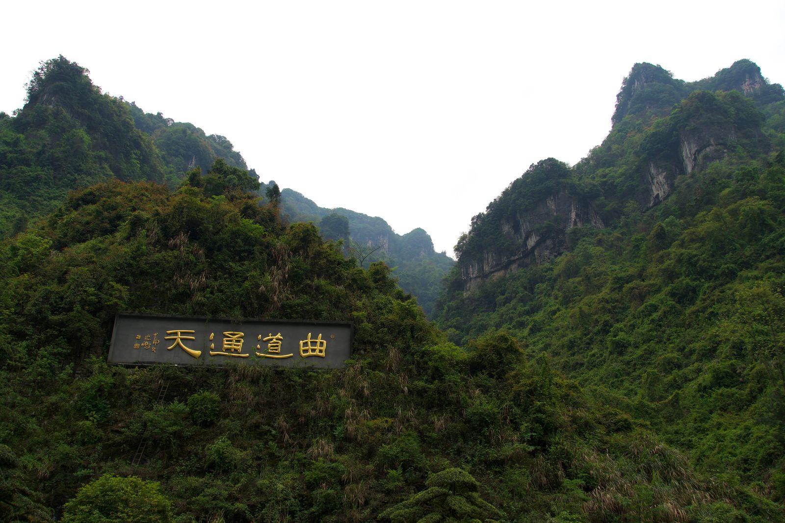 Forest-covered mountains rising behind a sign with gold lettering, Zhangjiajie