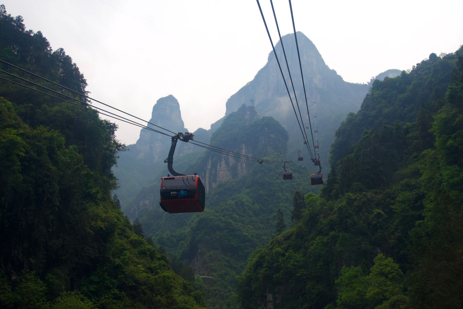 Forested peaks beyond cable cars over a wooded valley, Zhangjiajie
