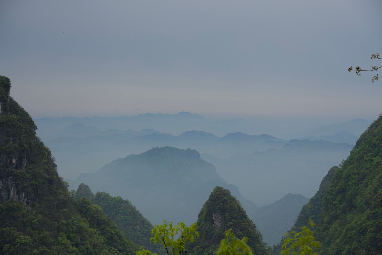 Forested peaks above a valley and layered hazy ridges, Zhangjiajie