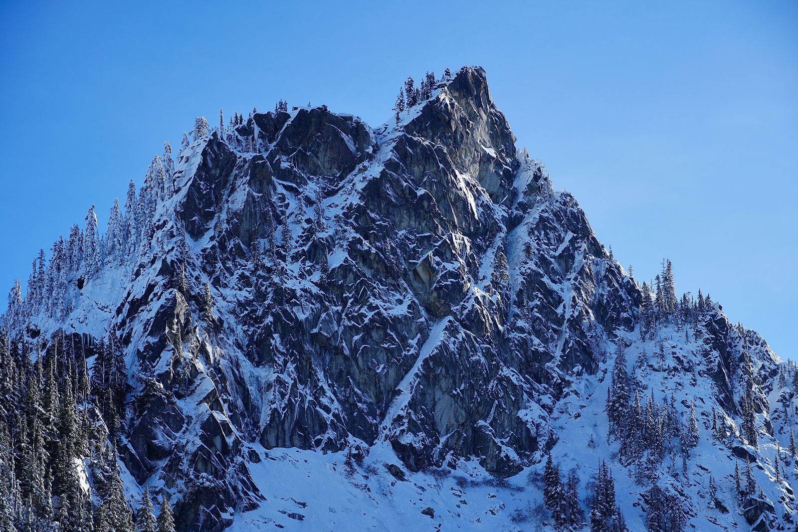Snow-covered rocky peak above snowy tree-covered slopes, Lake Valhalla