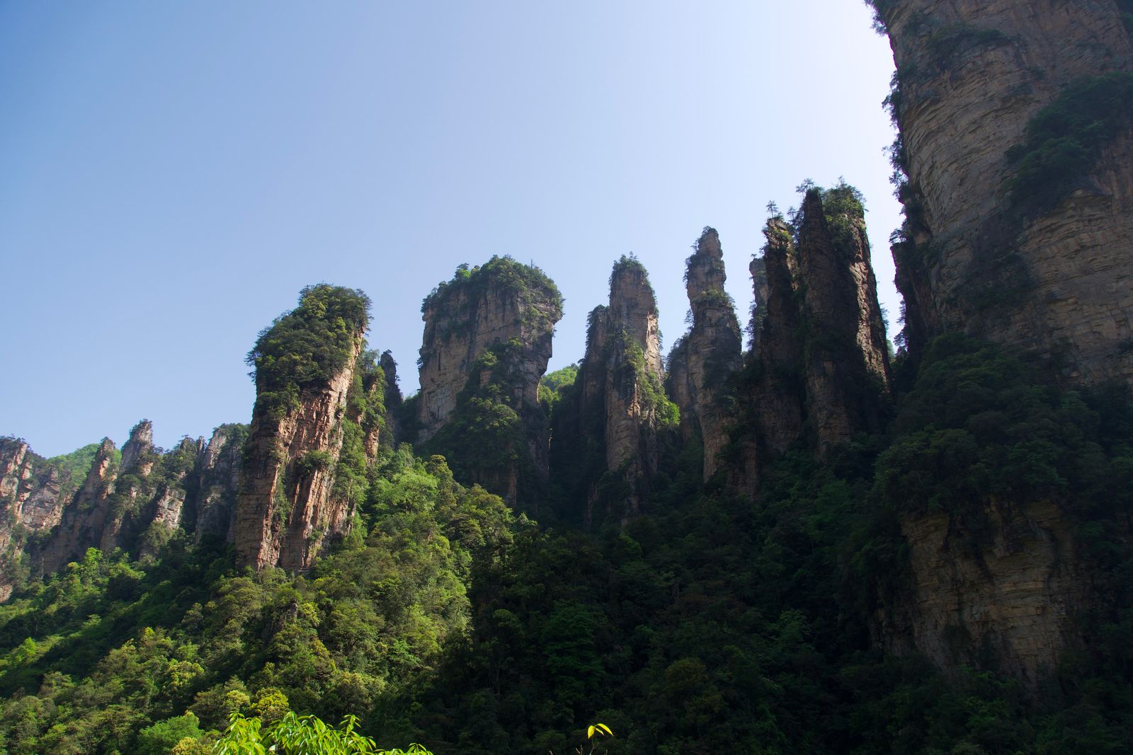 Rock pillars in sunlight beside a cliff in shadow, Zhangjiajie